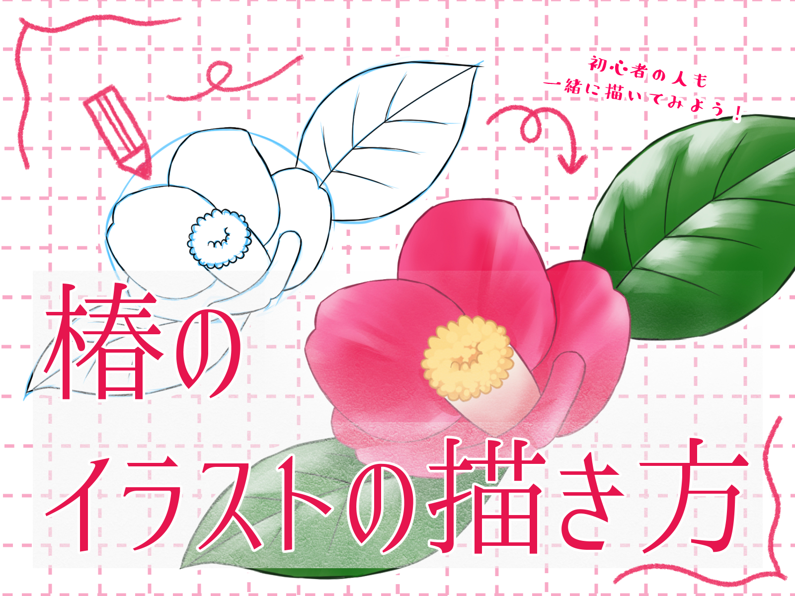 初心者も簡単！椿のイラストの描き方 - オンラインイラスト教室アタム
